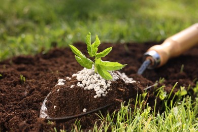 Photo of Shovel with soil, fertilizer and seedling outdoors, closeup