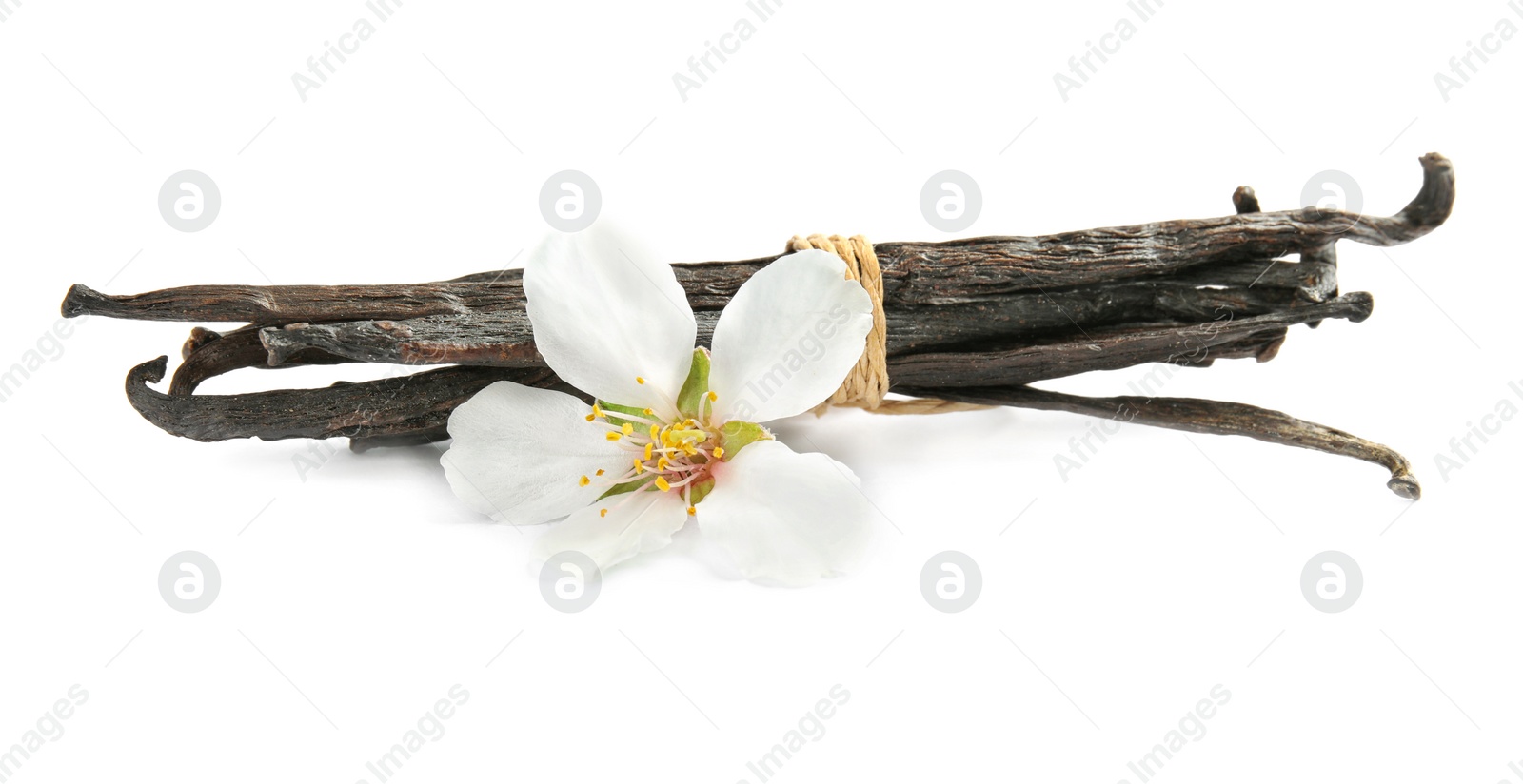 Photo of Aromatic vanilla sticks and flower on white background