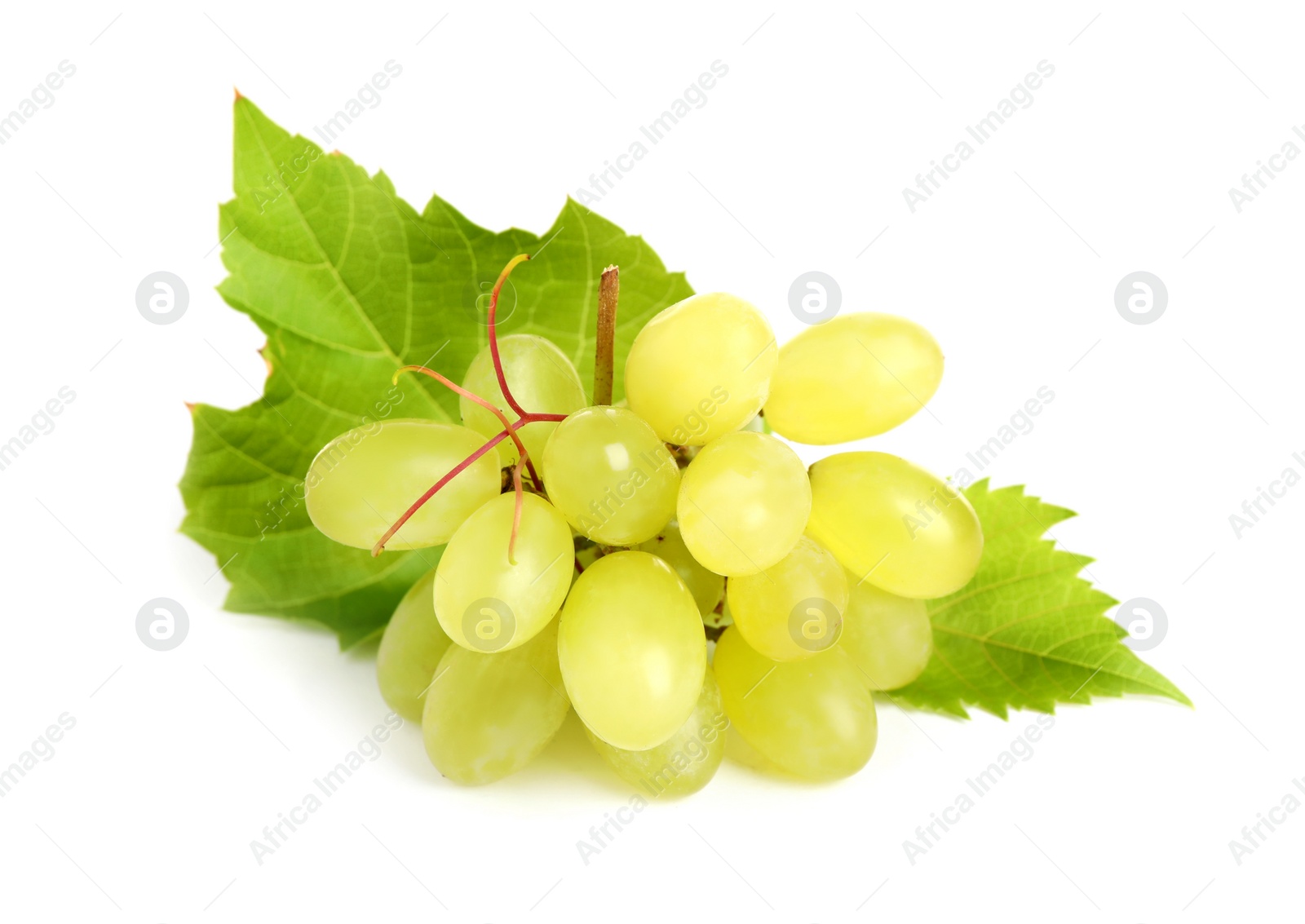 Photo of Bunch of green grapes with fresh leaves isolated on white