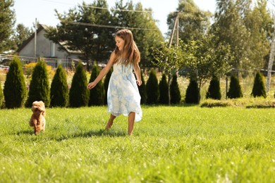 Photo of Beautiful girl walking with cute Maltipoo dog on green lawn in park