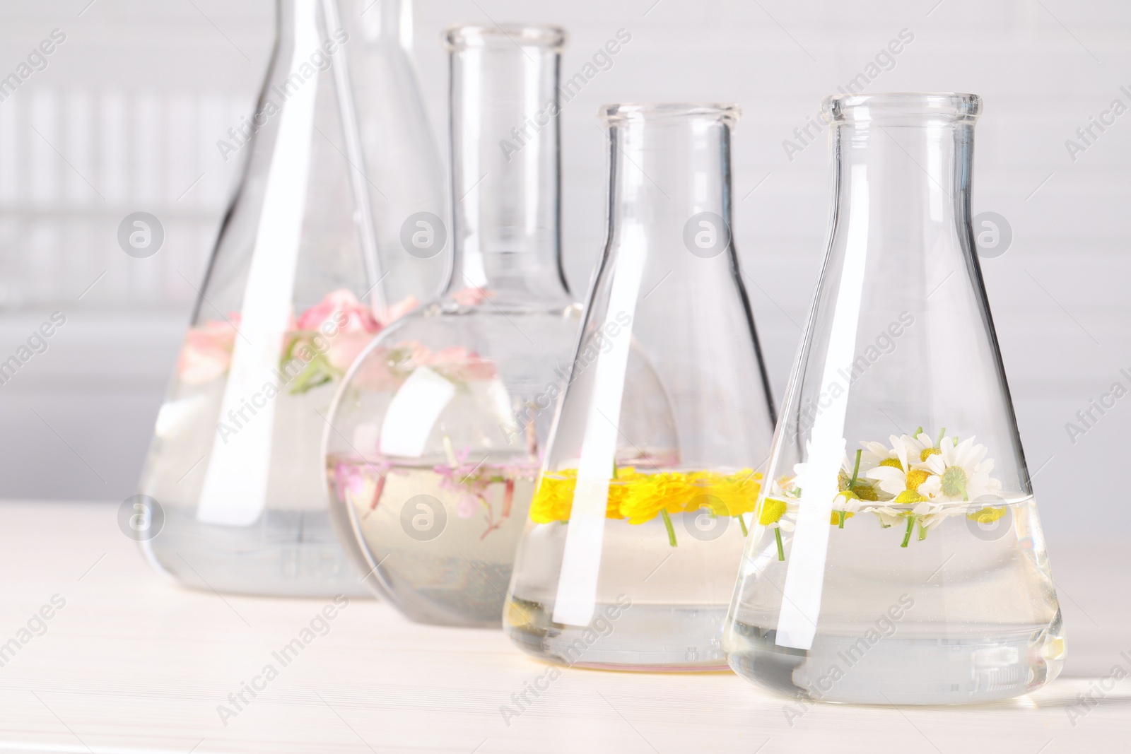 Photo of Laboratory glassware with different flowers on white wooden table. Essential oil extraction