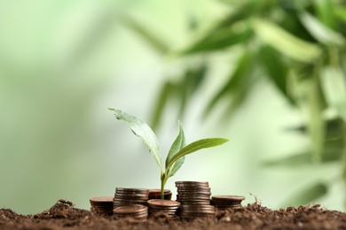 Stacked coins and young green plant on soil against blurred background, space for text