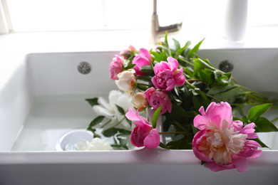 Bunch of beautiful peonies in kitchen sink, closeup. Space for text