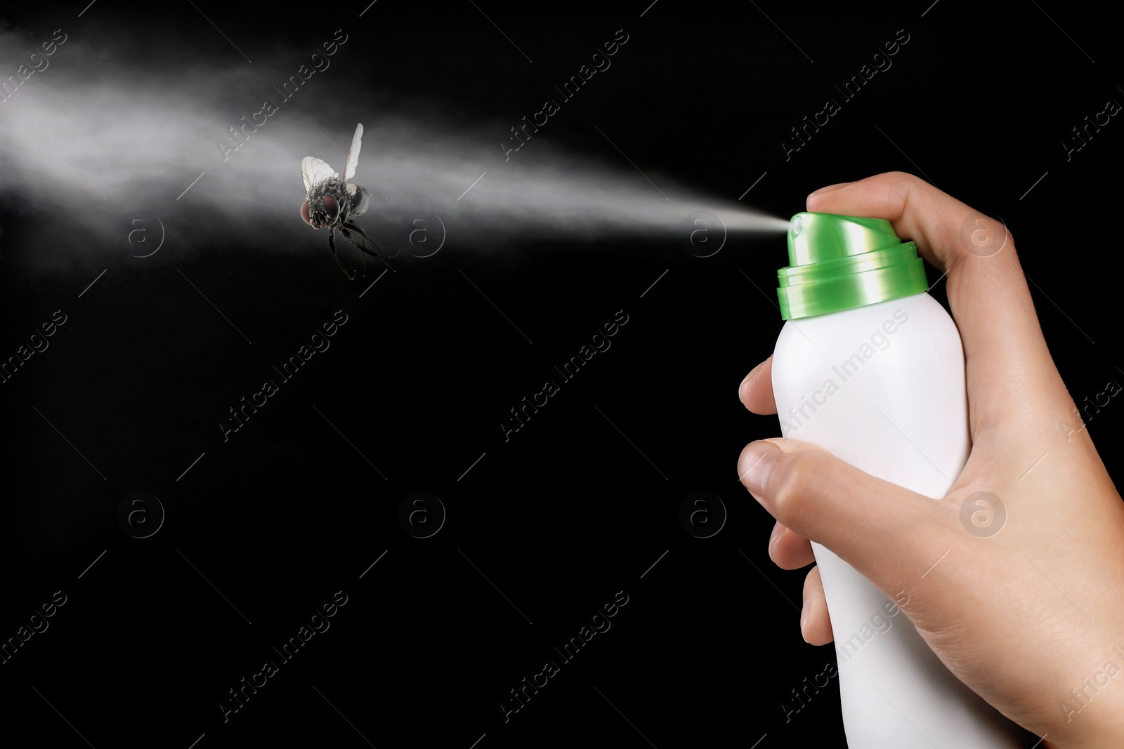 Image of Woman spraying insect aerosol on fly against black background, closeup