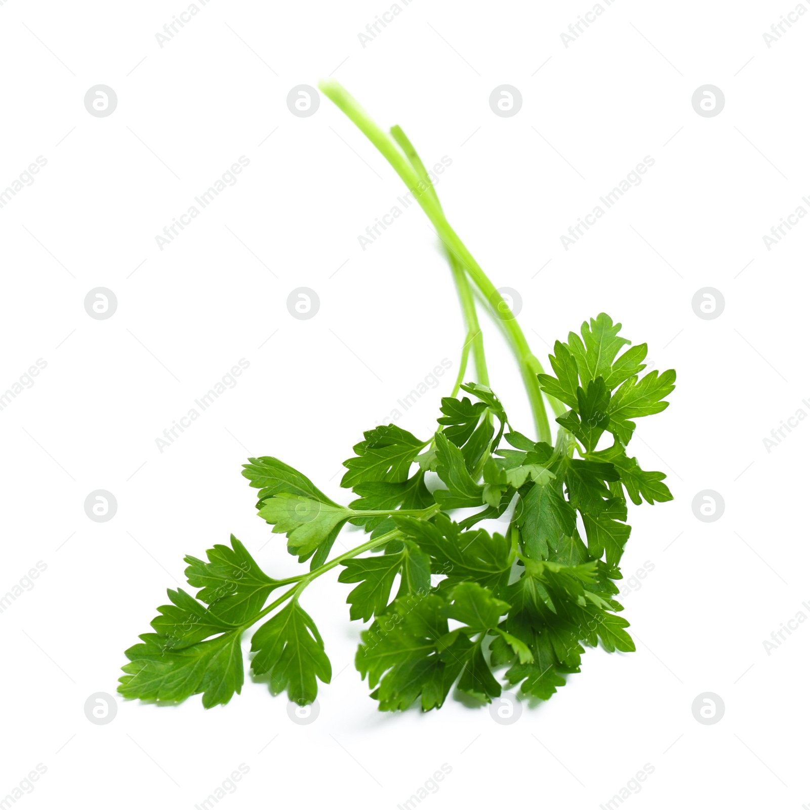 Photo of Leaves of fresh tasty parsley on white background