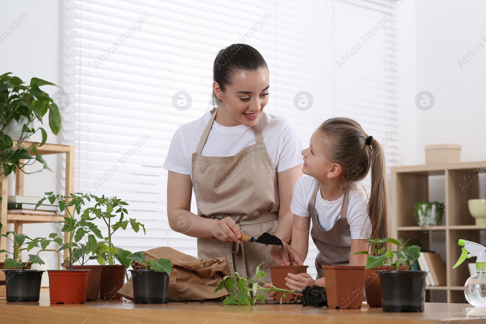 Photo of Mother and daughter planting seedlings in pot together at wooden table in room