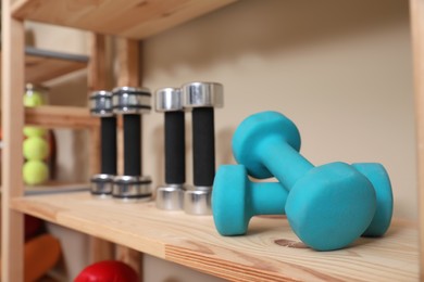 Different dumbbells on wooden shelf, space for text. Sports equipment
