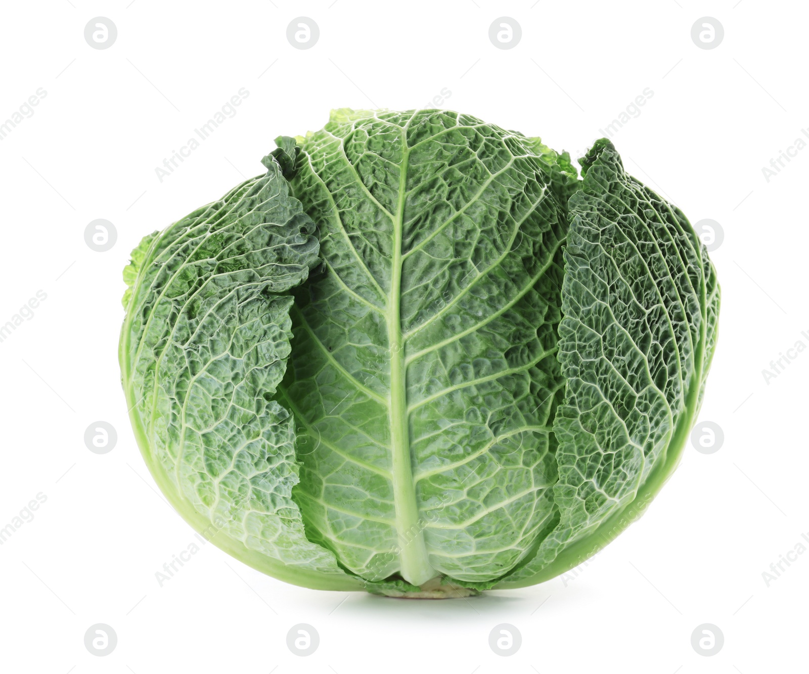 Photo of Fresh green savoy cabbage on white background