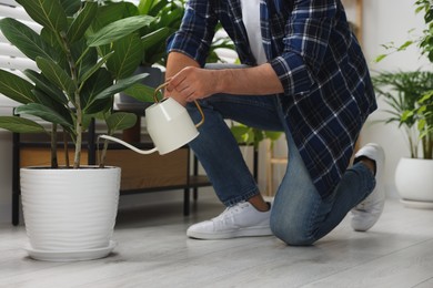 Man watering beautiful potted houseplants indoors, closeup