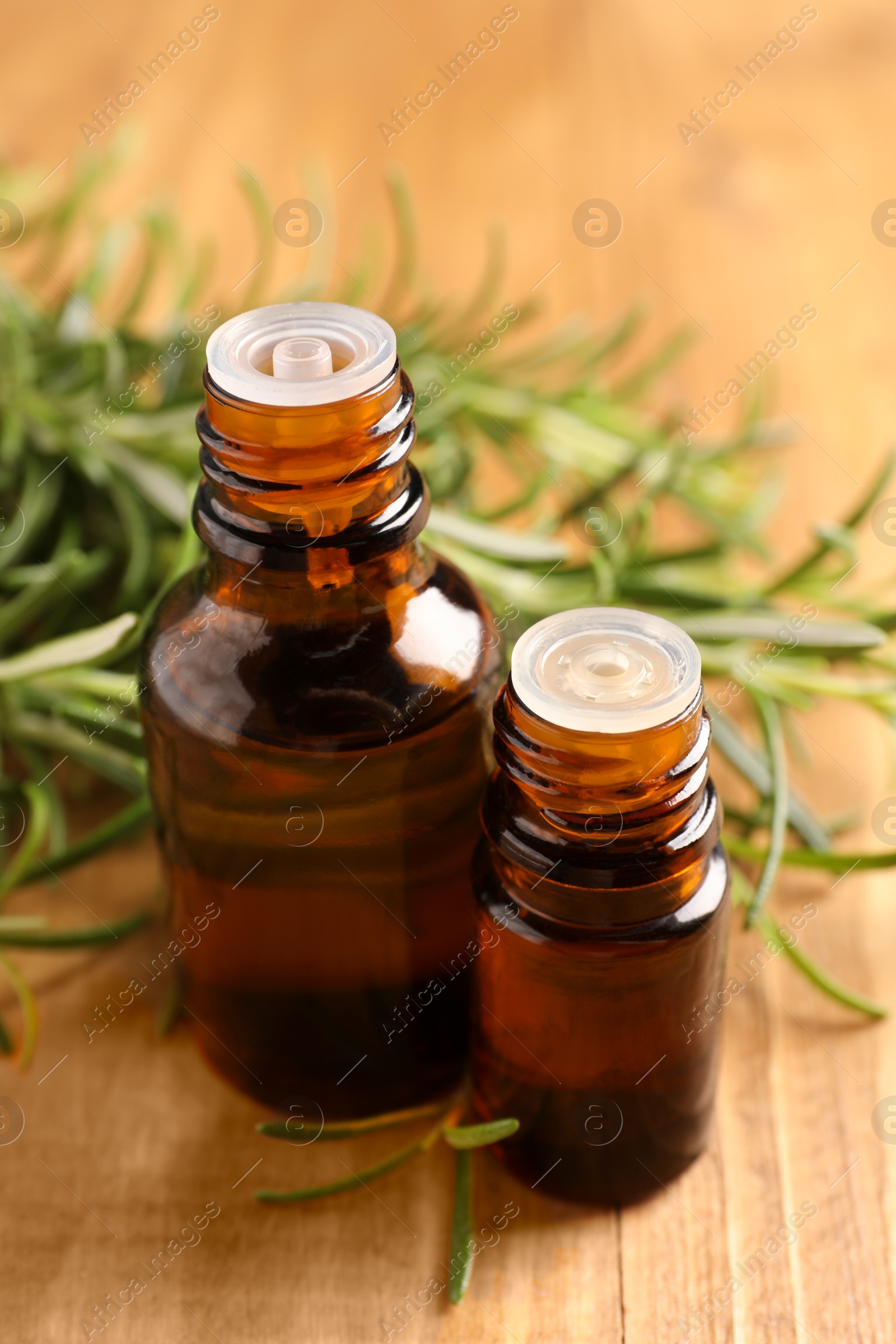 Photo of Bottles of rosemary oil and fresh twigs on wooden table, closeup