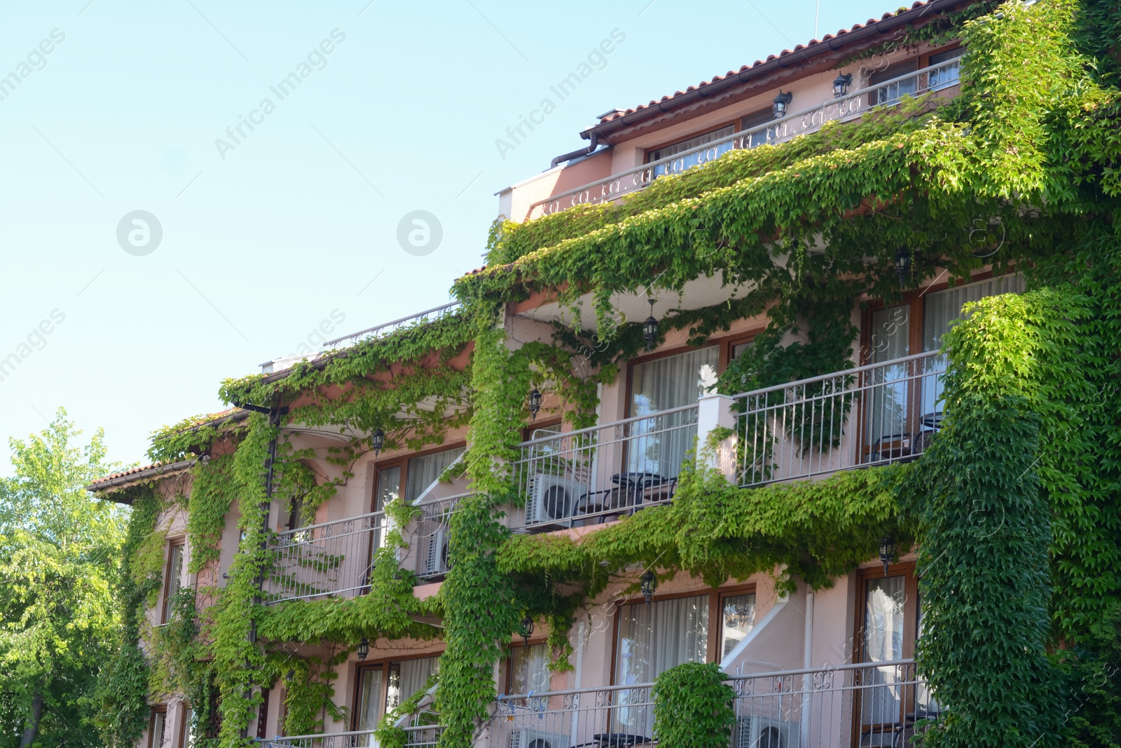 Photo of Exterior of beautiful residential building overgrown with green plants