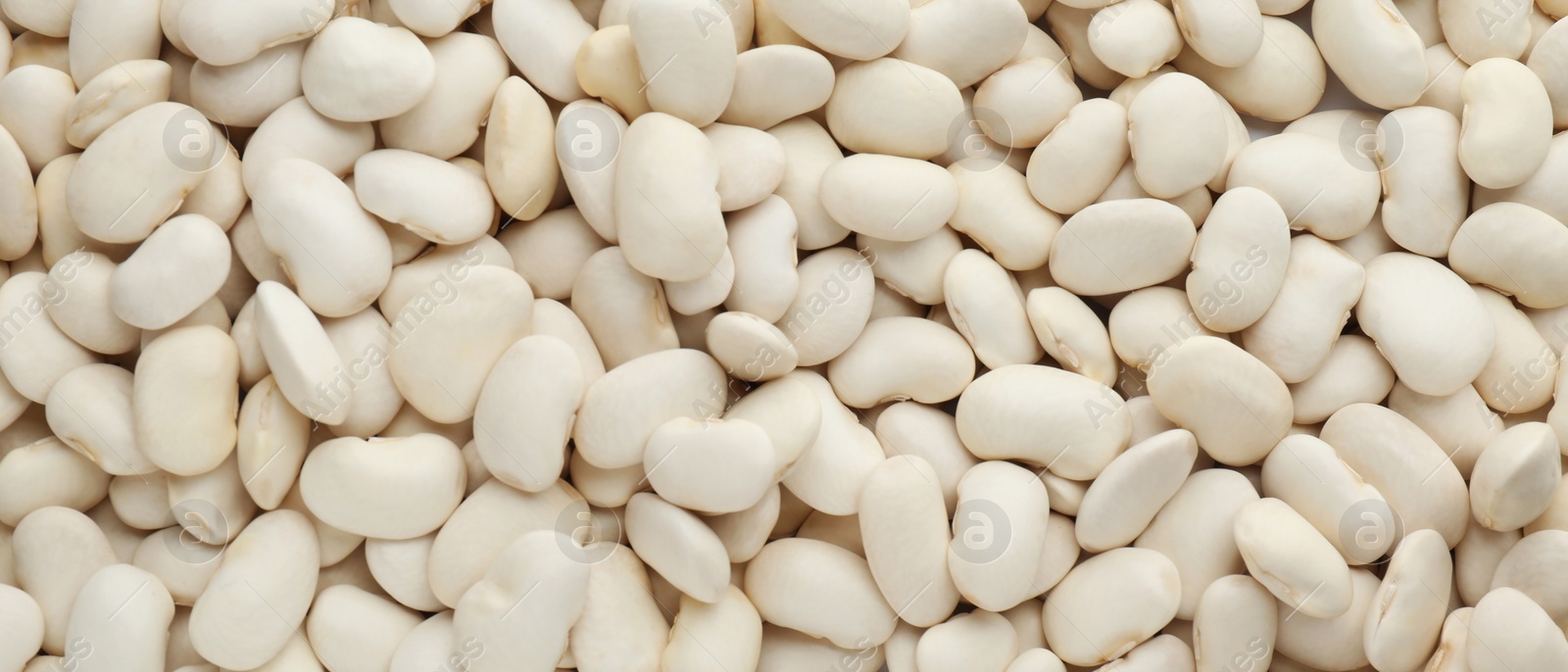 Image of White beans as background, top view. Banner design