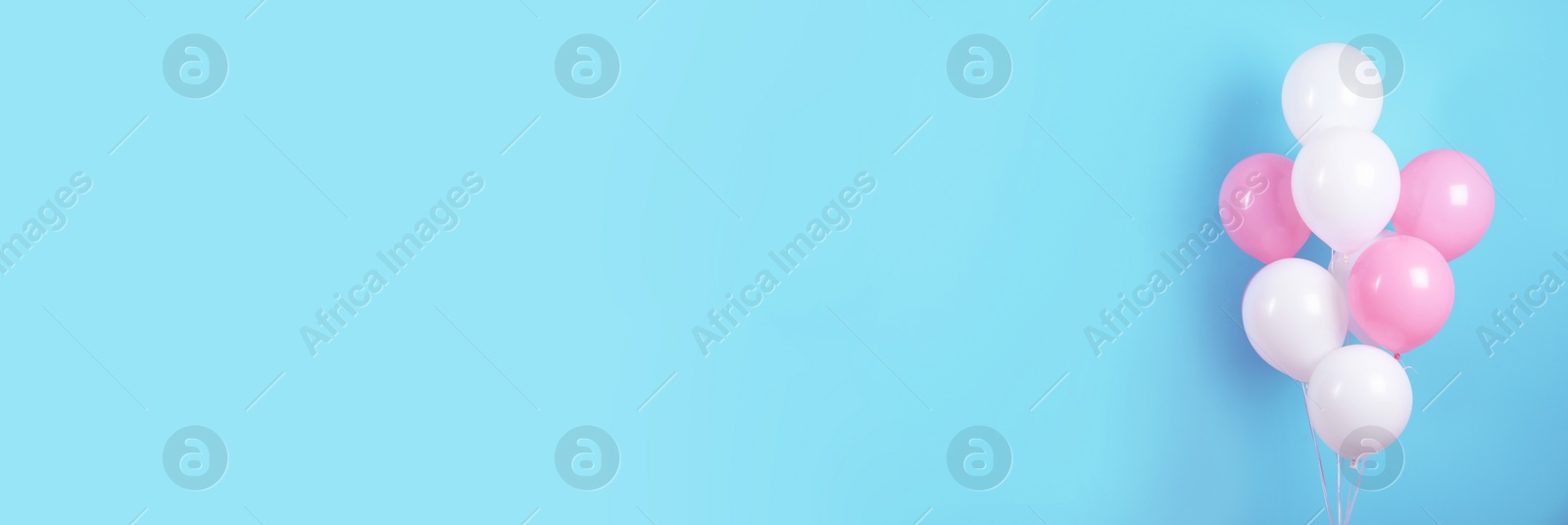 Image of Bunch of pink and white balloons on light blue background, space for text. Banner design 