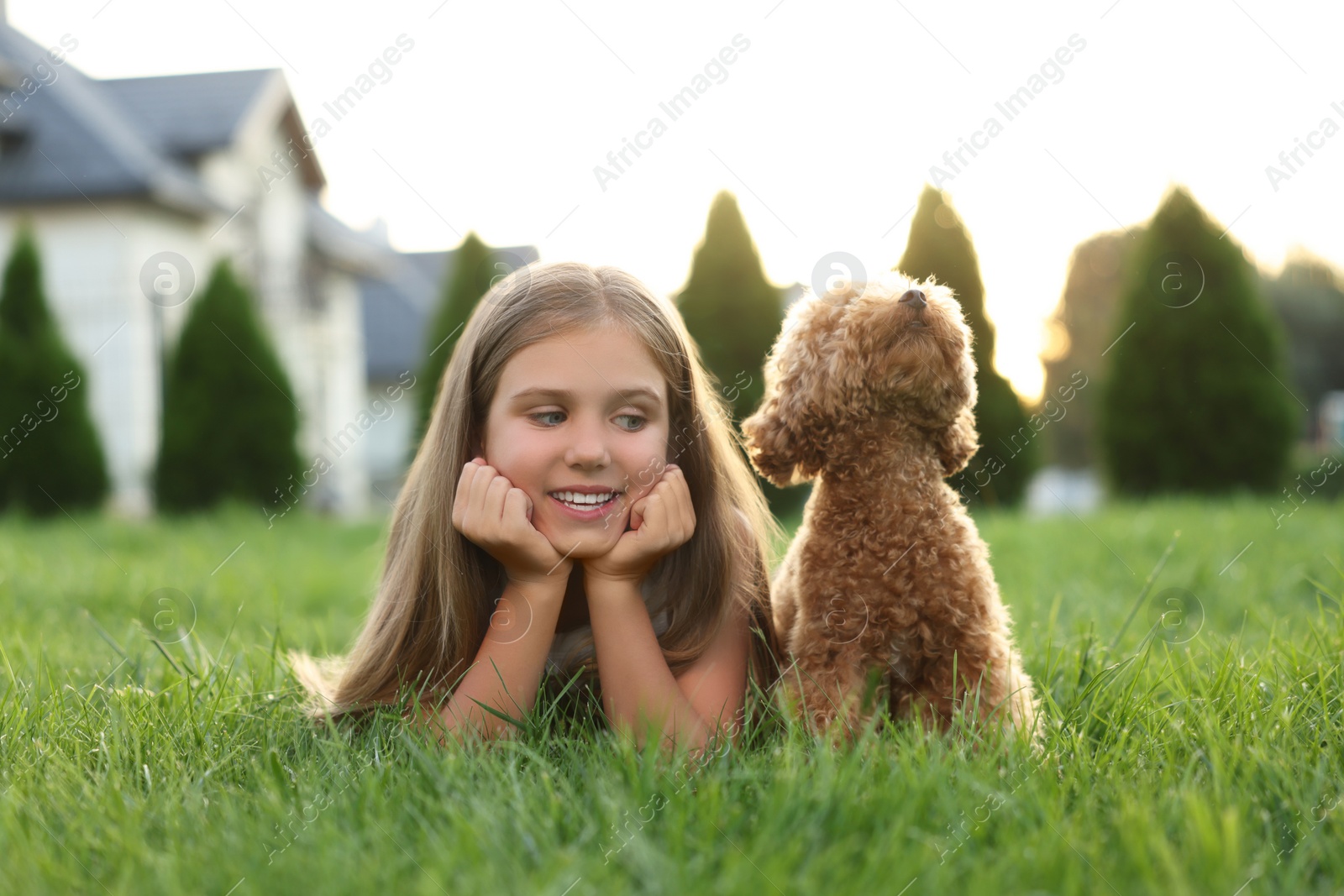 Photo of Beautiful girl with cute Maltipoo dog on green lawn in backyard