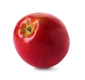Photo of One ripe red apple isolated on white