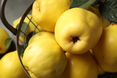 Photo of Fresh ripe organic quinces in metal basket, closeup