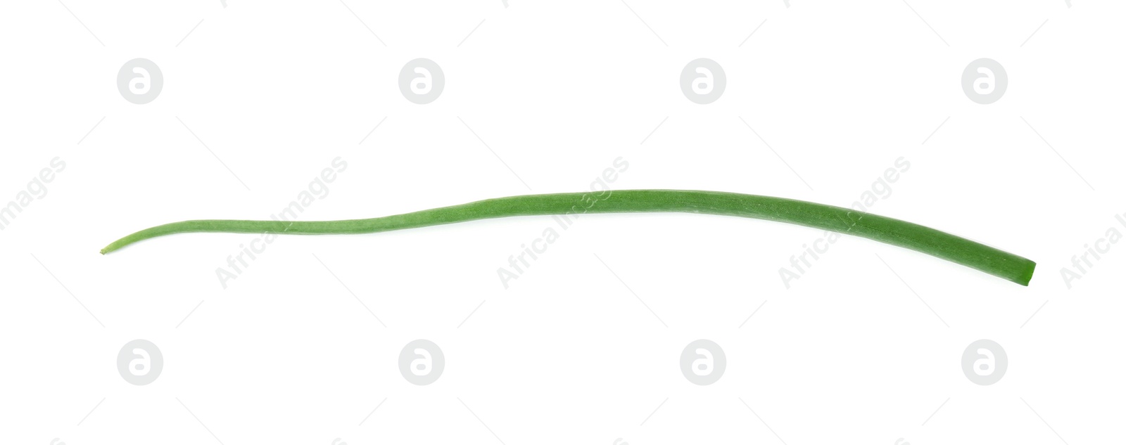 Photo of Fresh green spring onion isolated on white