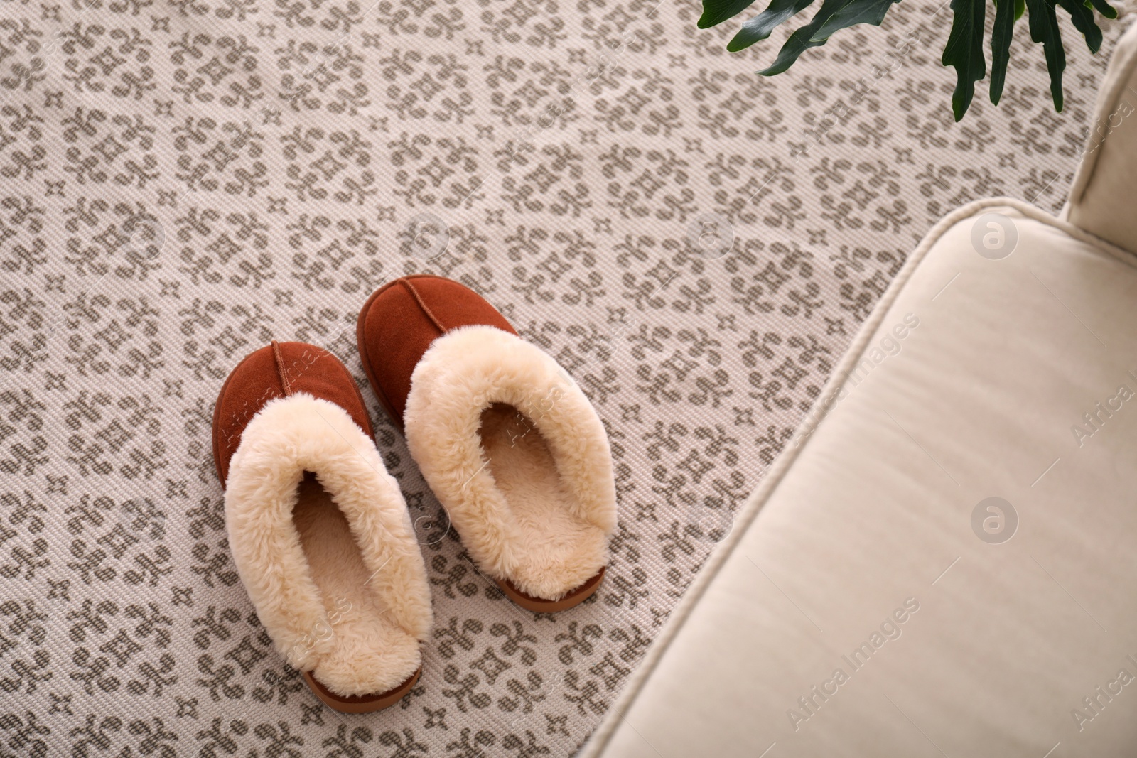 Photo of Brown warm slippers on floor in room, above view