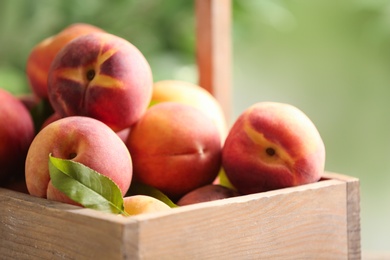 Photo of Fresh sweet peaches in wooden crate outdoors, closeup