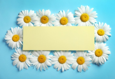 Flat lay composition with beautiful chamomile flowers and blank card on blue background, space for text