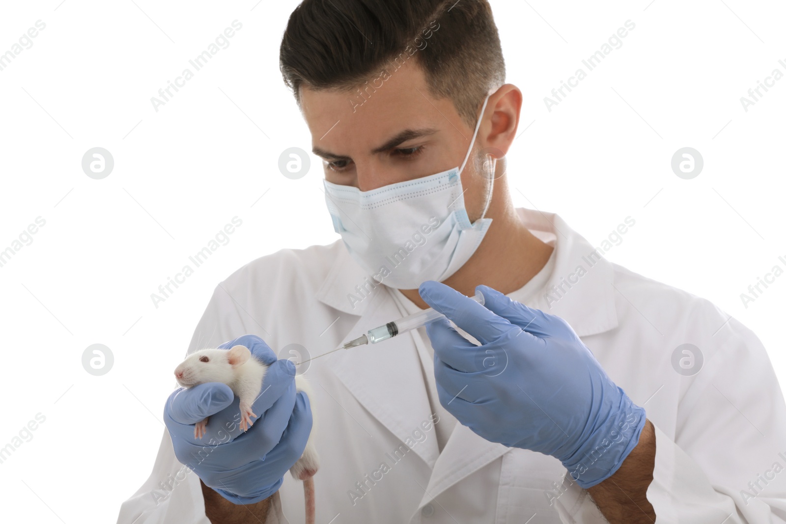 Photo of Scientist with syringe and rat on white background. Animal testing