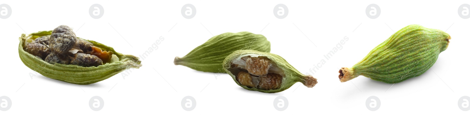 Image of Set with dry cardamom pods on white background. Banner design