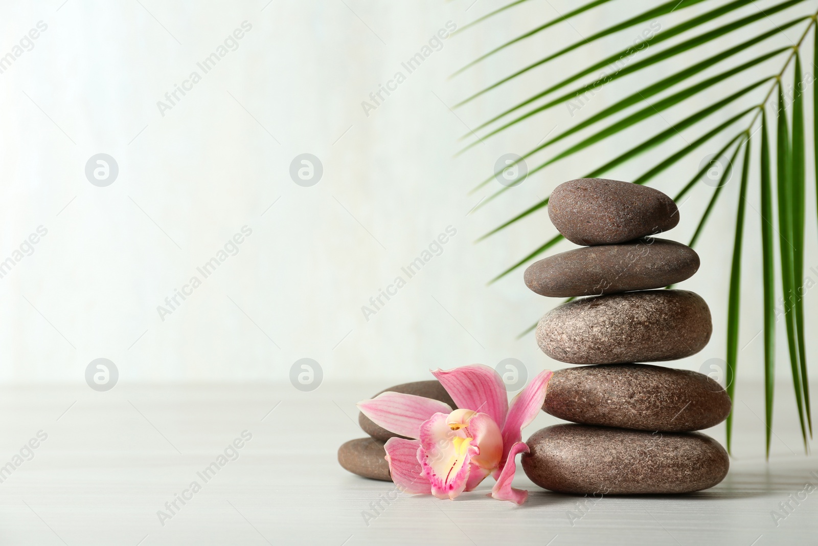 Photo of Stack of spa stones, palm leaf and flower on table against white background, space for text