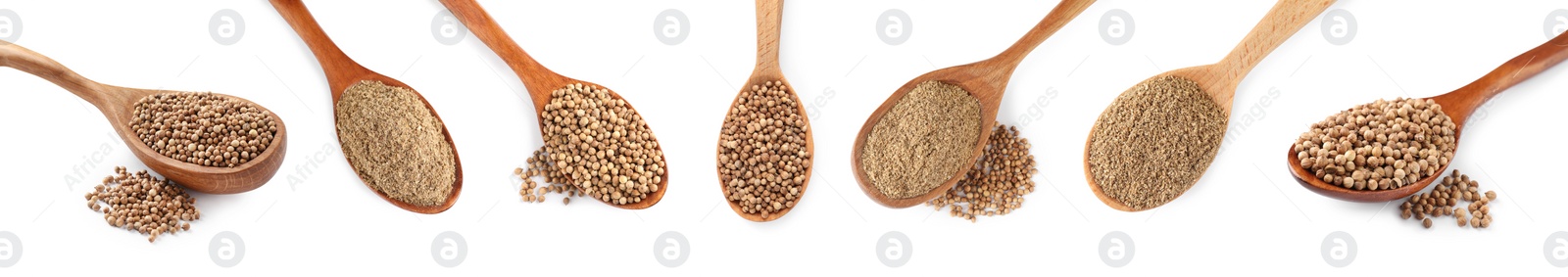 Image of Set with coriander seeds and powder on white background. Banner design