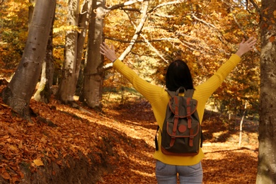 Woman with backpack walking in autumn forest. Space for text