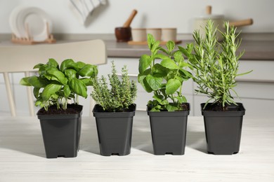 Pots with basil, thyme, mint and rosemary on white wooden table in kitchen