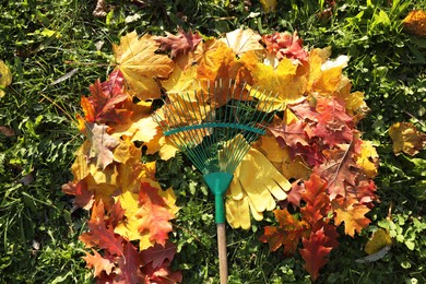 Photo of Rake and fall leaves on grass outdoors, top view