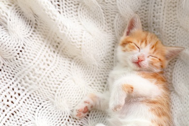 Cute little kitten sleeping on white knitted blanket, top view. Space for text