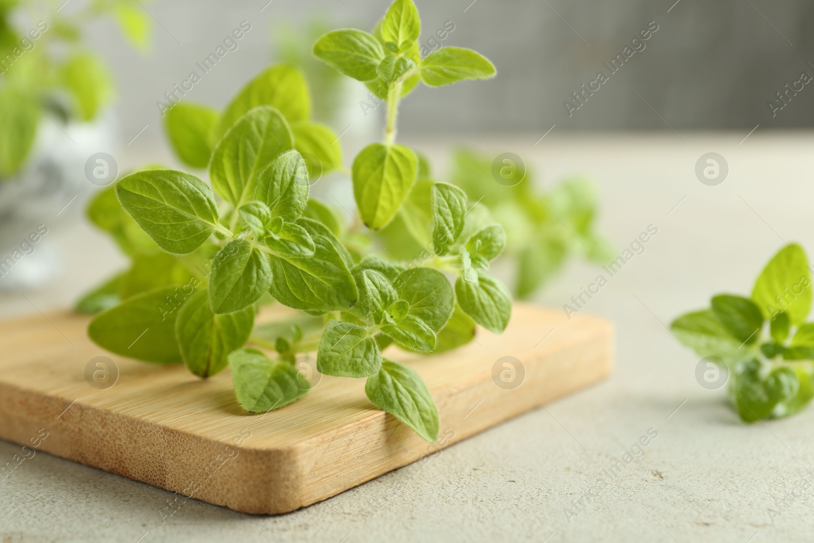 Photo of Sprigs of fresh green oregano on light textured table, closeup