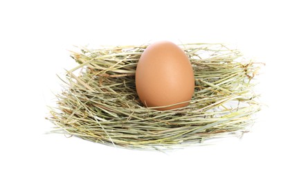 Photo of Chicken egg in nest isolated on white