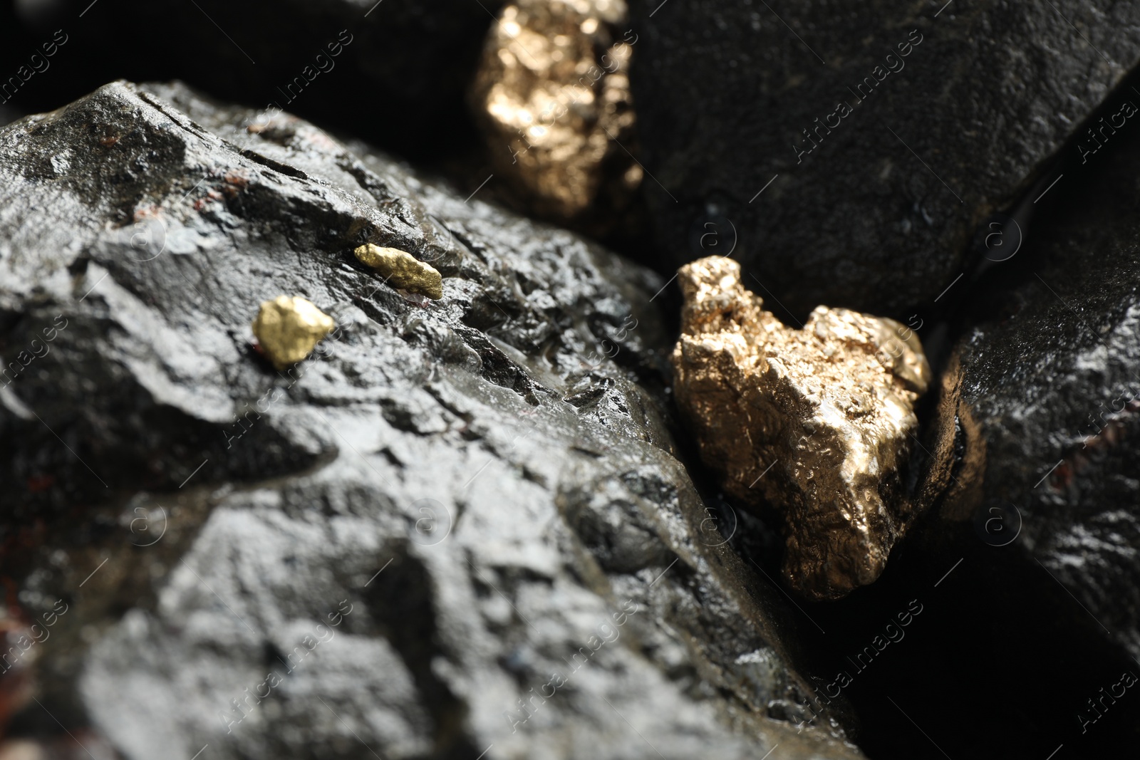 Photo of Shiny gold nuggets on wet stones, closeup