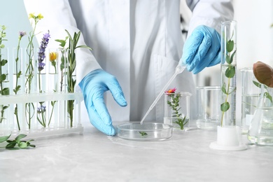 Photo of Scientist dripping liquid on plant in Petri dish at table, closeup