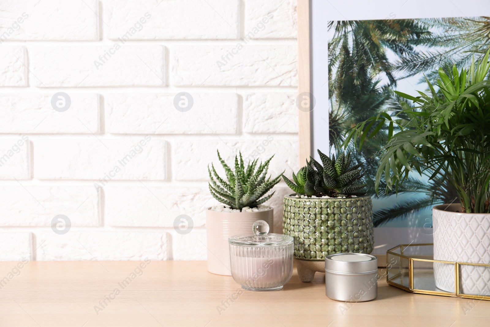 Photo of Beautiful Chamaedorea, Aloe and Haworthia in pots with decor on wooden table near white brick wall, space for text. Different house plants