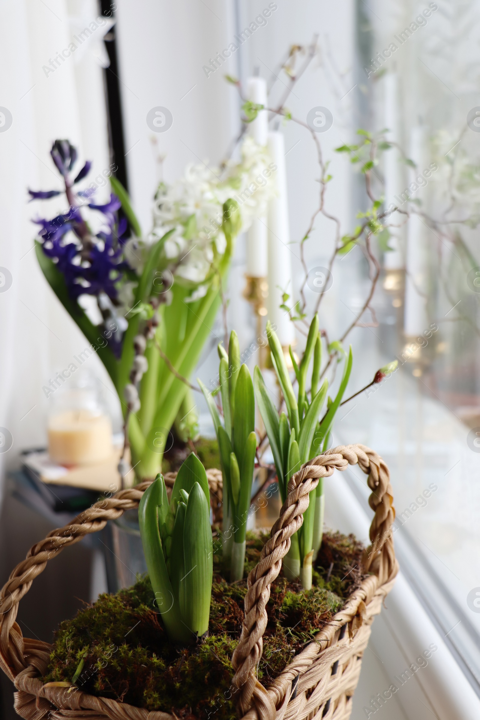 Photo of Beautiful spring plants and decoration on window sill