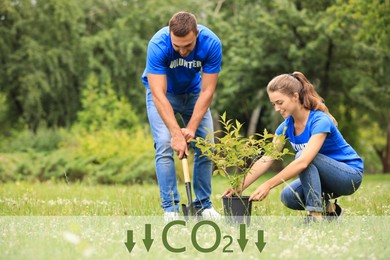 Image of Reduce CO2 emissions. Young volunteers planting tree in park