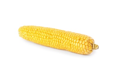 Photo of Ripe raw corn cob isolated on white