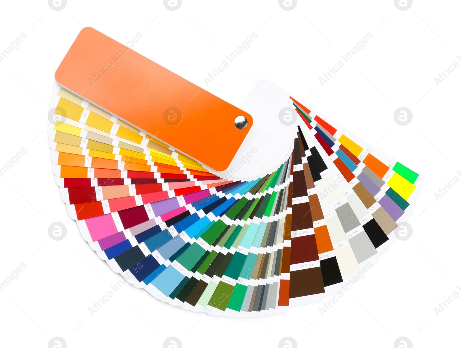 Photo of Color palette samples on white background