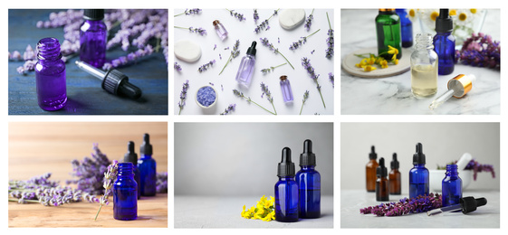 Image of Collage of different photos with essential oils and wildflowers. Banner design