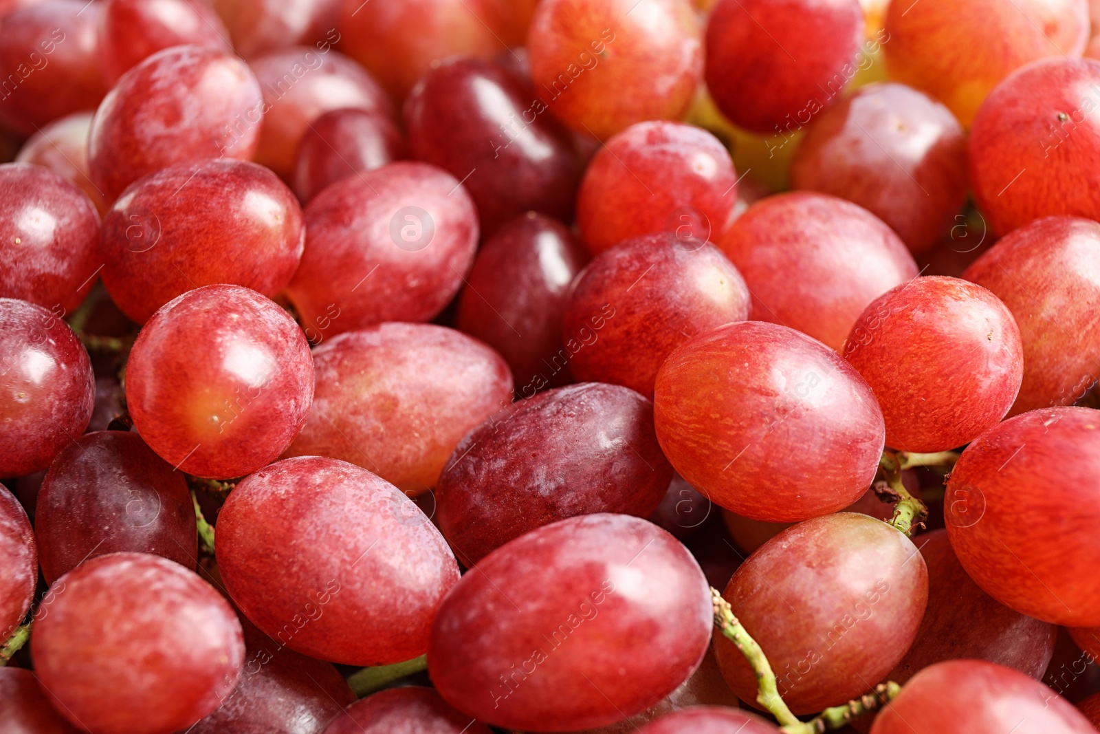 Photo of Fresh ripe juicy pink grapes as background, closeup view