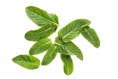 Photo of Fresh green mint leaves on white background