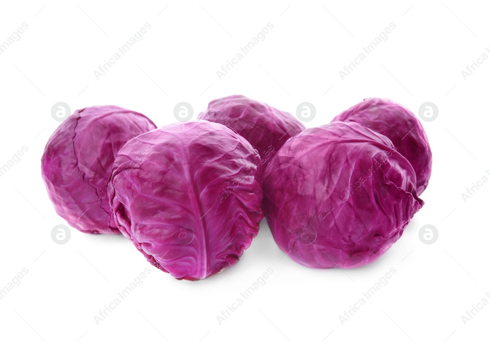 Photo of Whole ripe red cabbages on white background