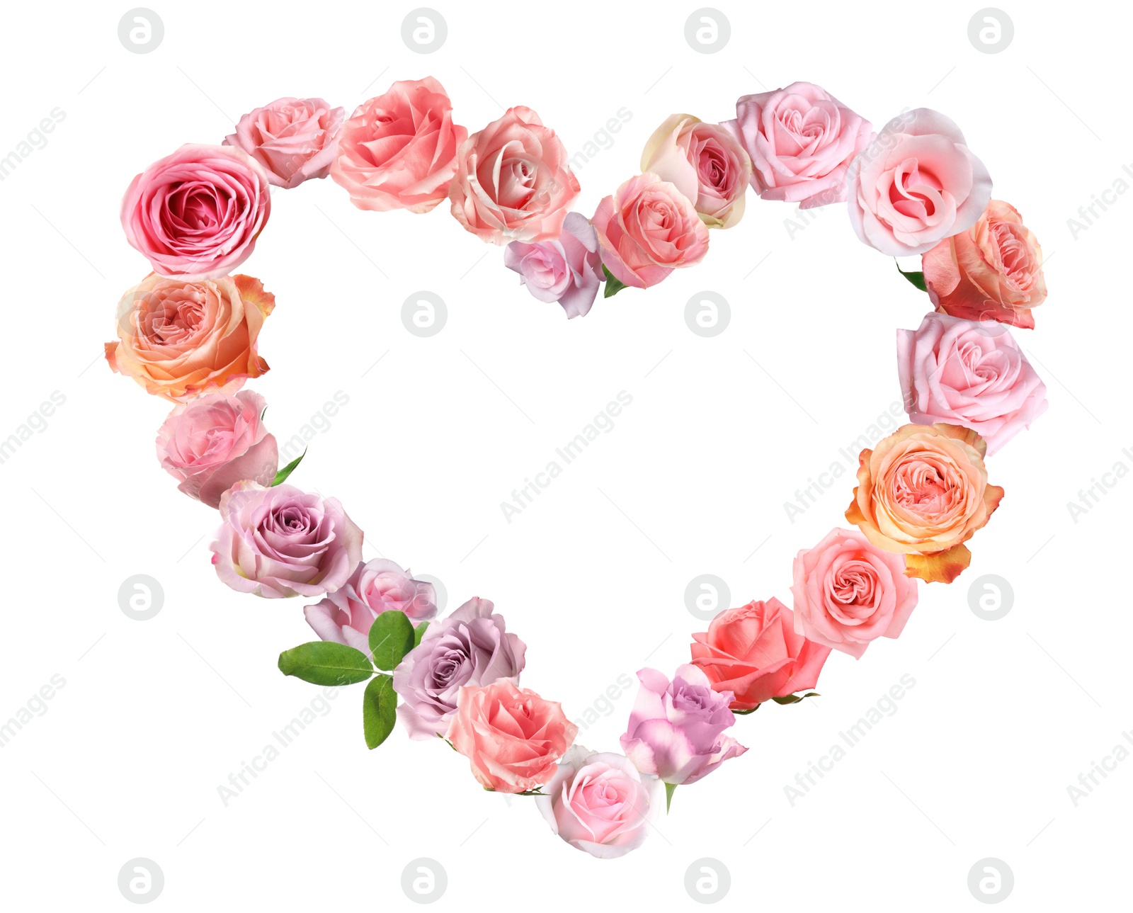 Image of Heart made of beautiful roses on white background