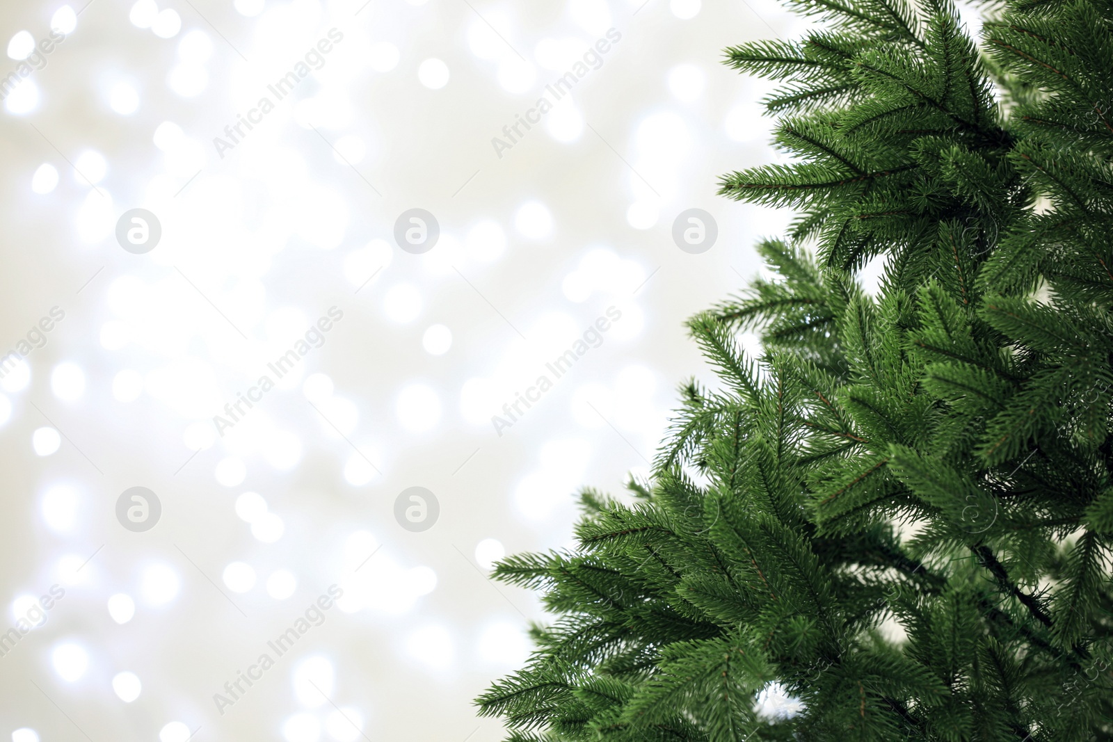 Photo of Beautiful Christmas tree against blurred lights, closeup with space for text. Bokeh effect