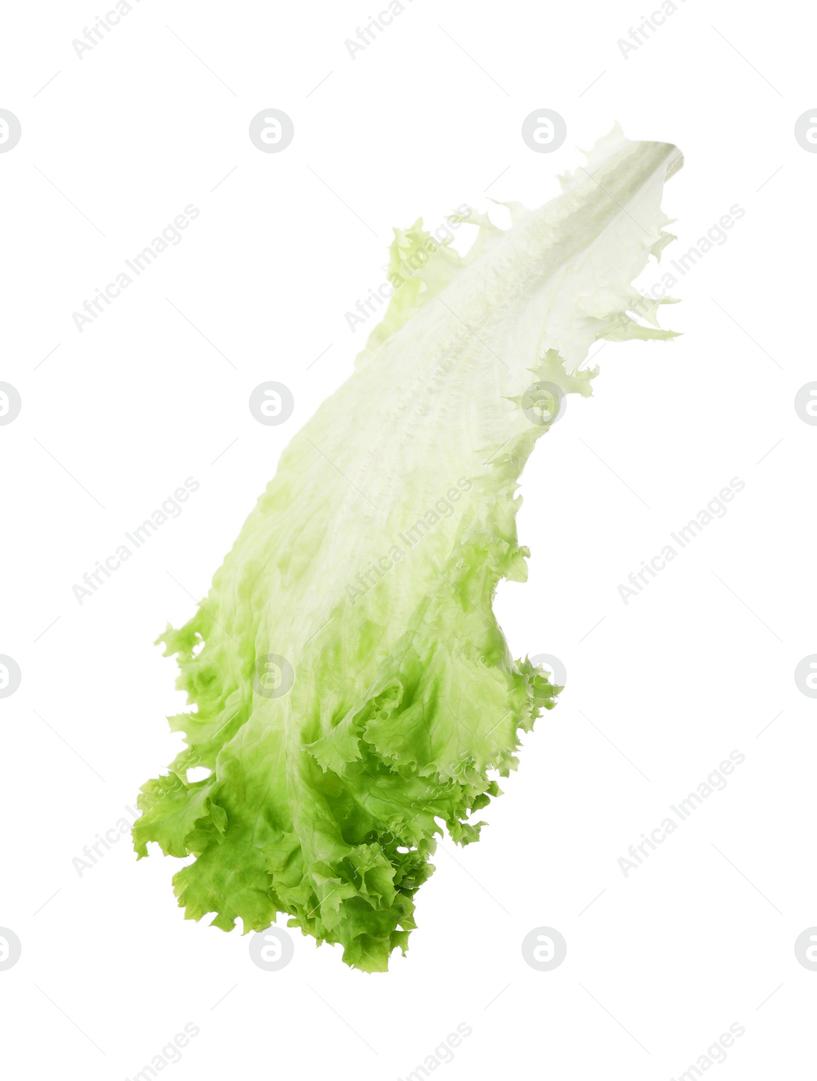 Photo of Fresh green lettuce leaf isolated on white