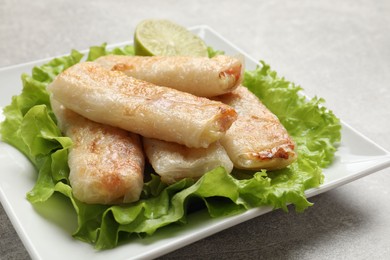 Photo of Delicious fried spring rolls on grey table, closeup
