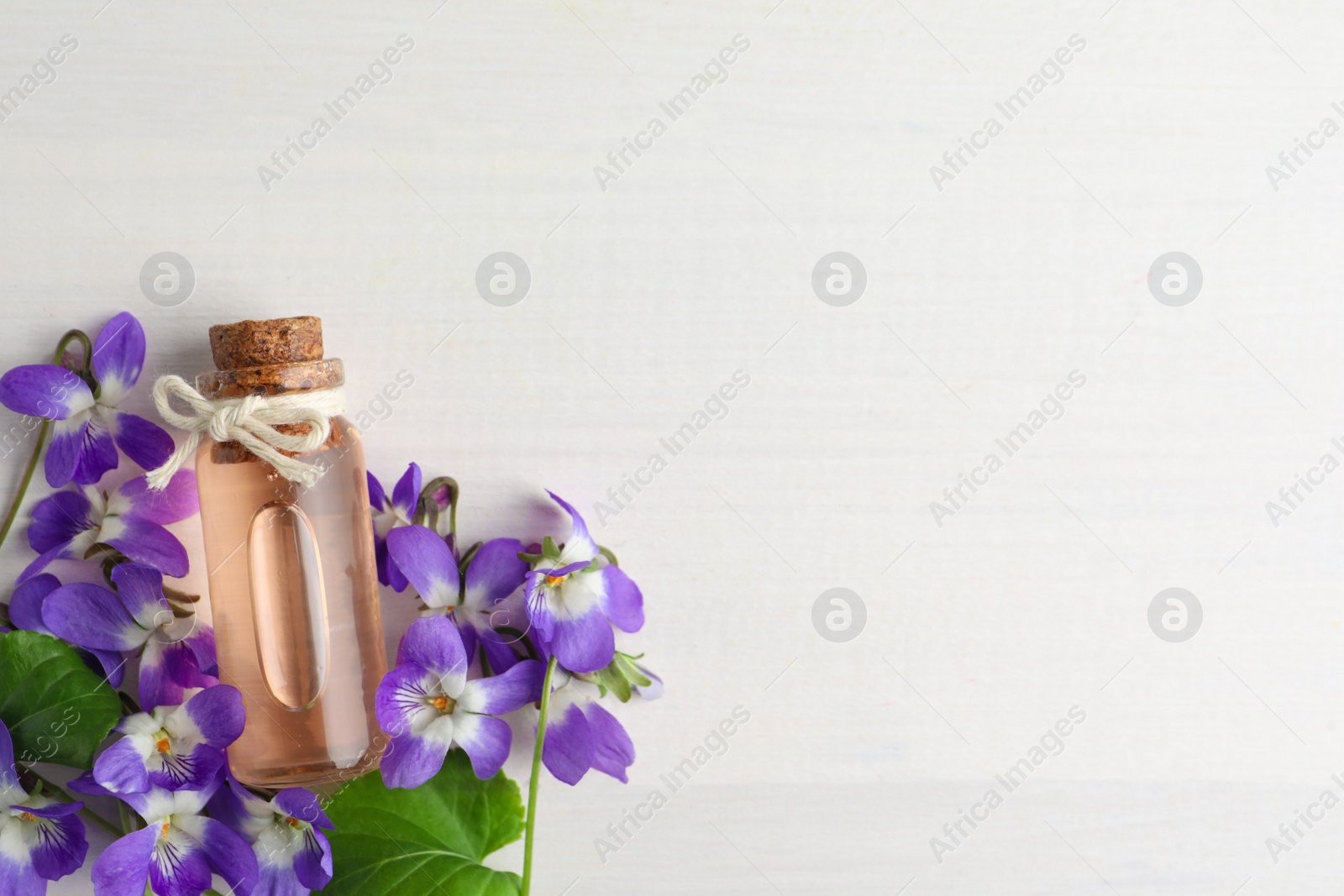 Photo of Beautiful wild violets, essential oil and space for text on white wooden table, flat lay. Spring flowers